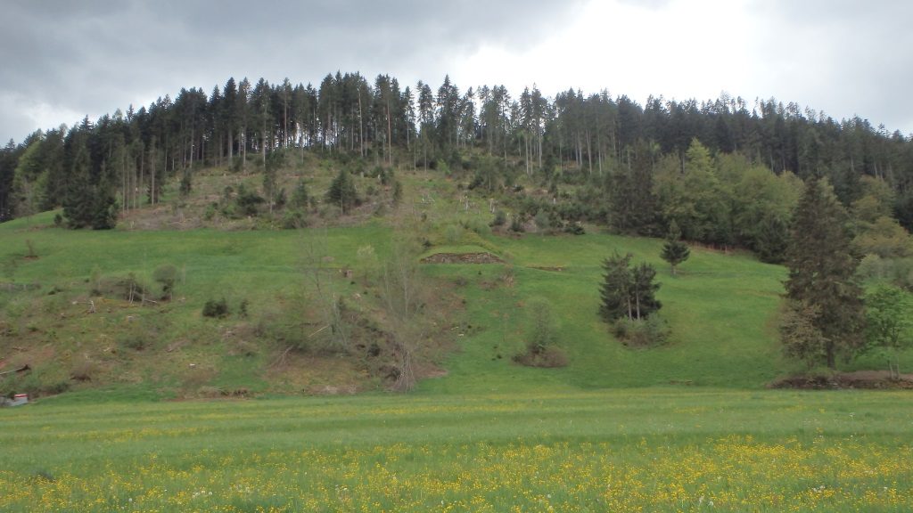 Ehemalige Naturskischanze von Mitteltal